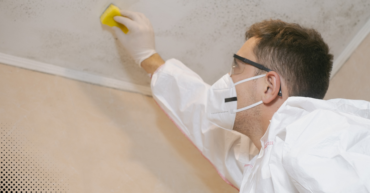Home inspector cleaning mold on ceiling with protective gear.