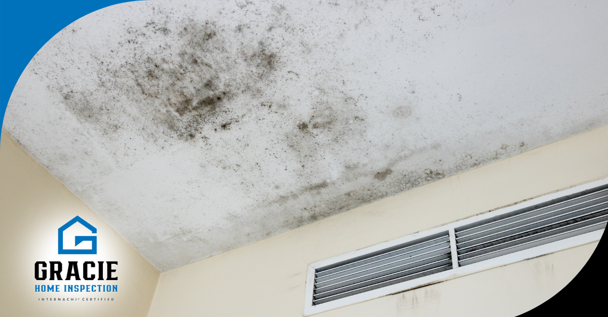 Mold growth on ceiling in a home.